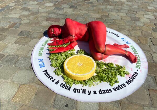 Un « homard » géant dénonce la consommation d’animaux marins