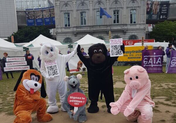Des « animaux » dansants demandent au Parlement européen la fin de l’expérimentation animale
