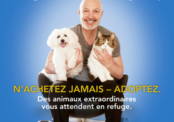 « N’achetez jamais – adoptez ! » – Frank Lebœuf prend la défense des animaux