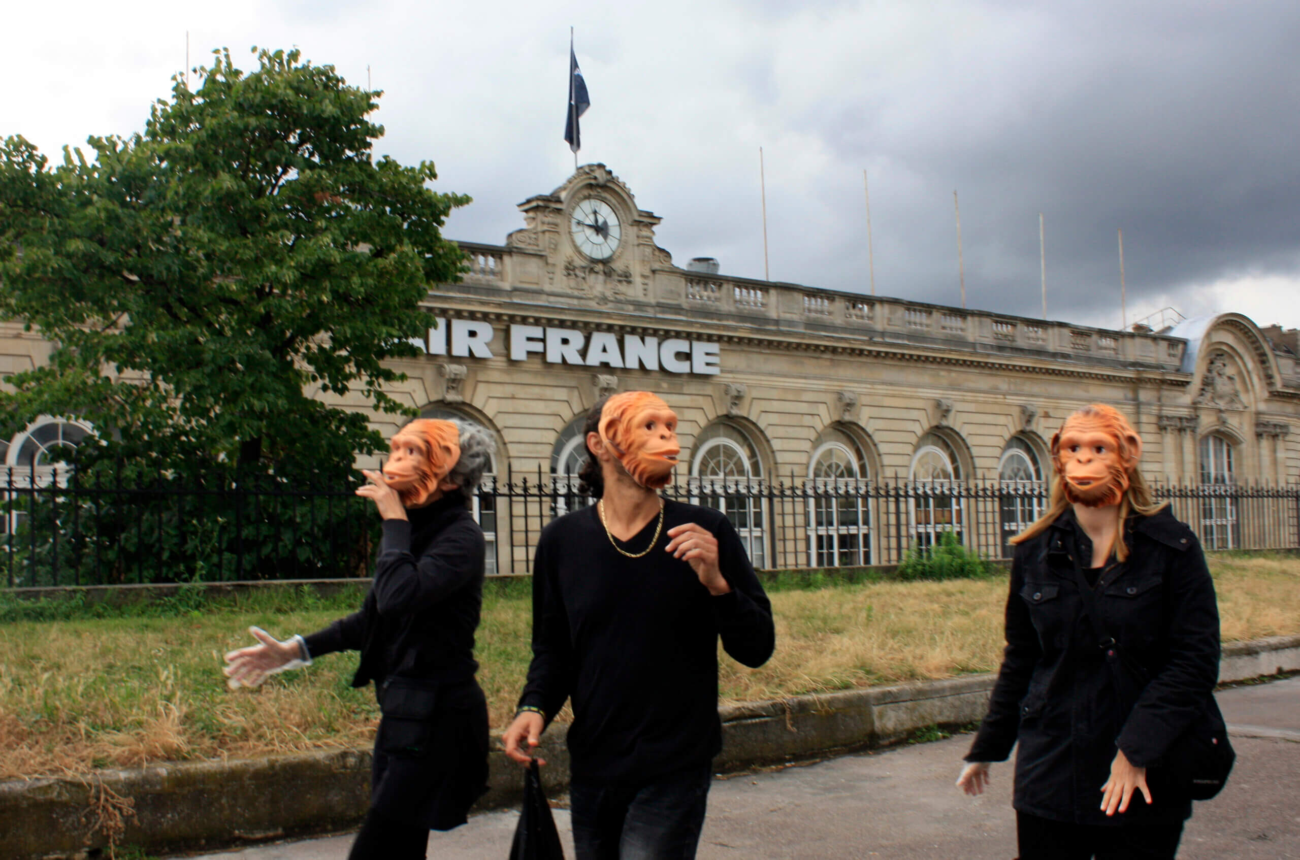 Victoire pour les animaux ! Air France va mettre fin au transport de singes