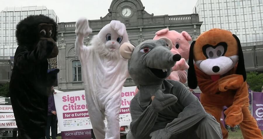 PETA célèbre les 35 ans de « Don’t Kill the Animals » en appelant à la fin de l’expérimentation animale