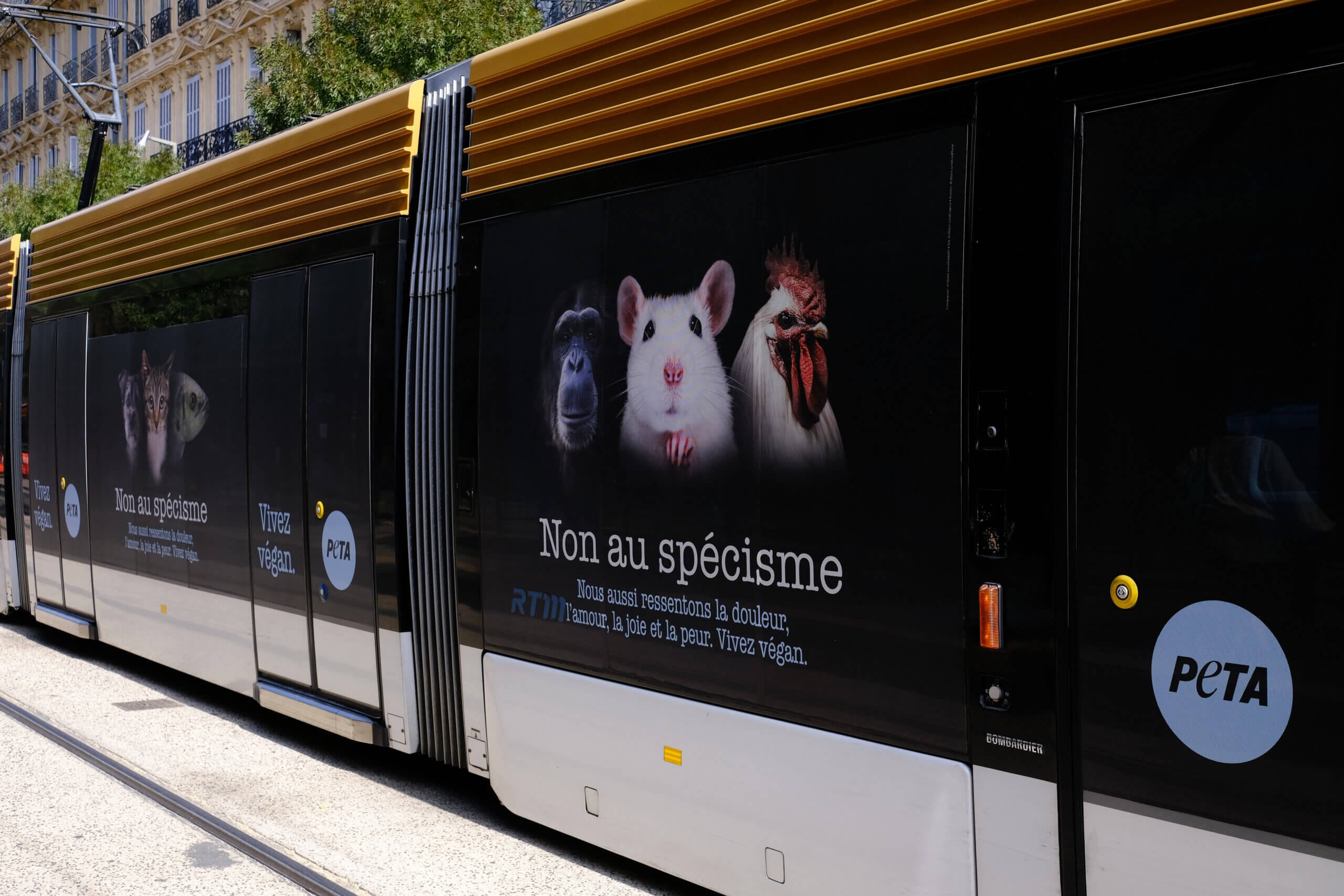 Journée internationale de la non-violence : un tram marseillais véhicule un message antispéciste