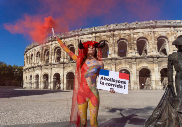 Nîmes : une actrice peinte en « taureau » demande l’abolition de la corrida