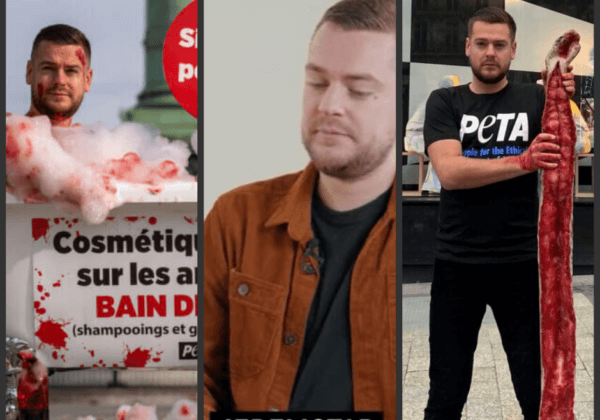 Jeremstar est la « Personnalité de l’année 2022 » de PETA