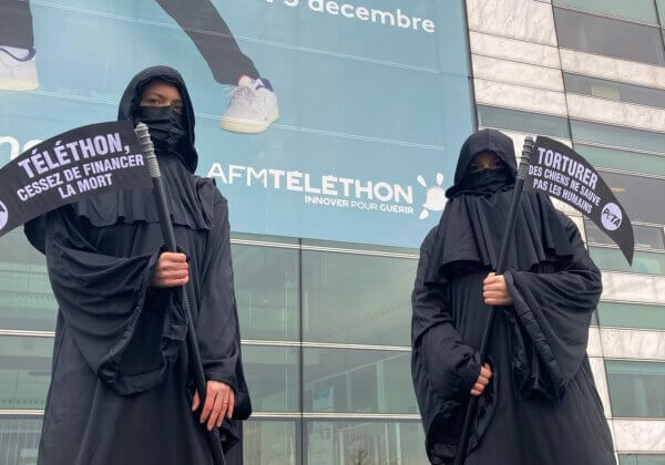 L’AFM-Téléthon finance des expériences cruelles sur des chiens et dangereuses pour les humains