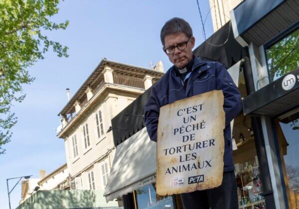 Un prêtre proteste contre la corrida entouré de « taureaux morts »