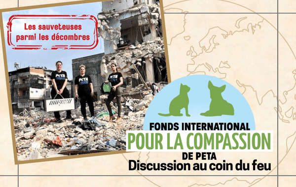 Événement virtuel PETA : conversation sur les missions du Fonds international pour la compassion avec Ingrid Newkirk