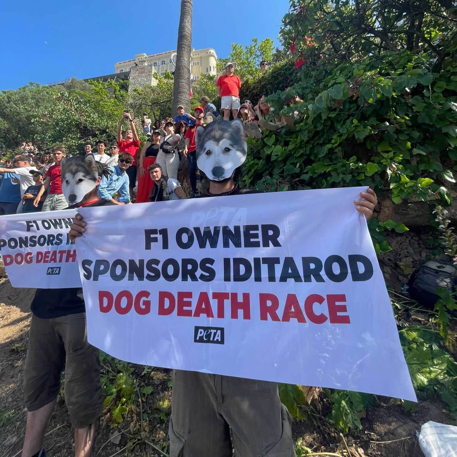 PETA au Grand Prix de Monaco pour protester contre une course de chiens mortelle