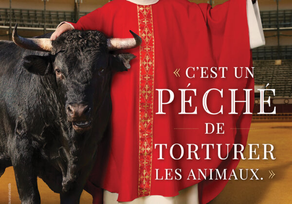Un prêtre dénonce la corrida : « C’est un péché de torturer les animaux. »