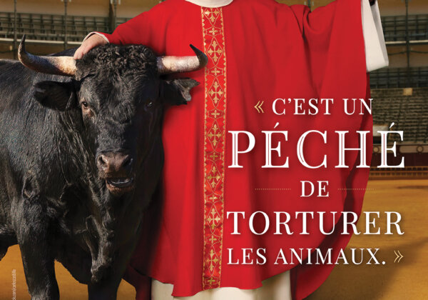Un prêtre dénonce la corrida : « C’est un péché de torturer les animaux. »