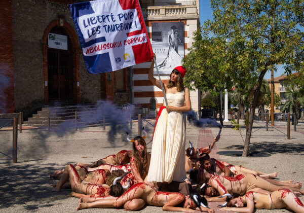 Une célèbre peinture de Delacroix revisitée pour appeler à abolir la corrida