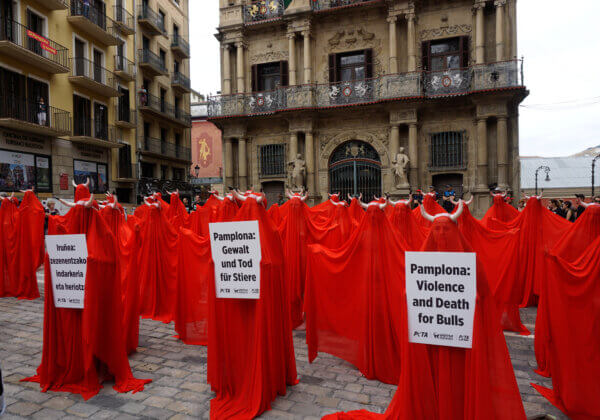 Des militants nus créent une « mer de sang » pour protester contre la corrida à Pampelune