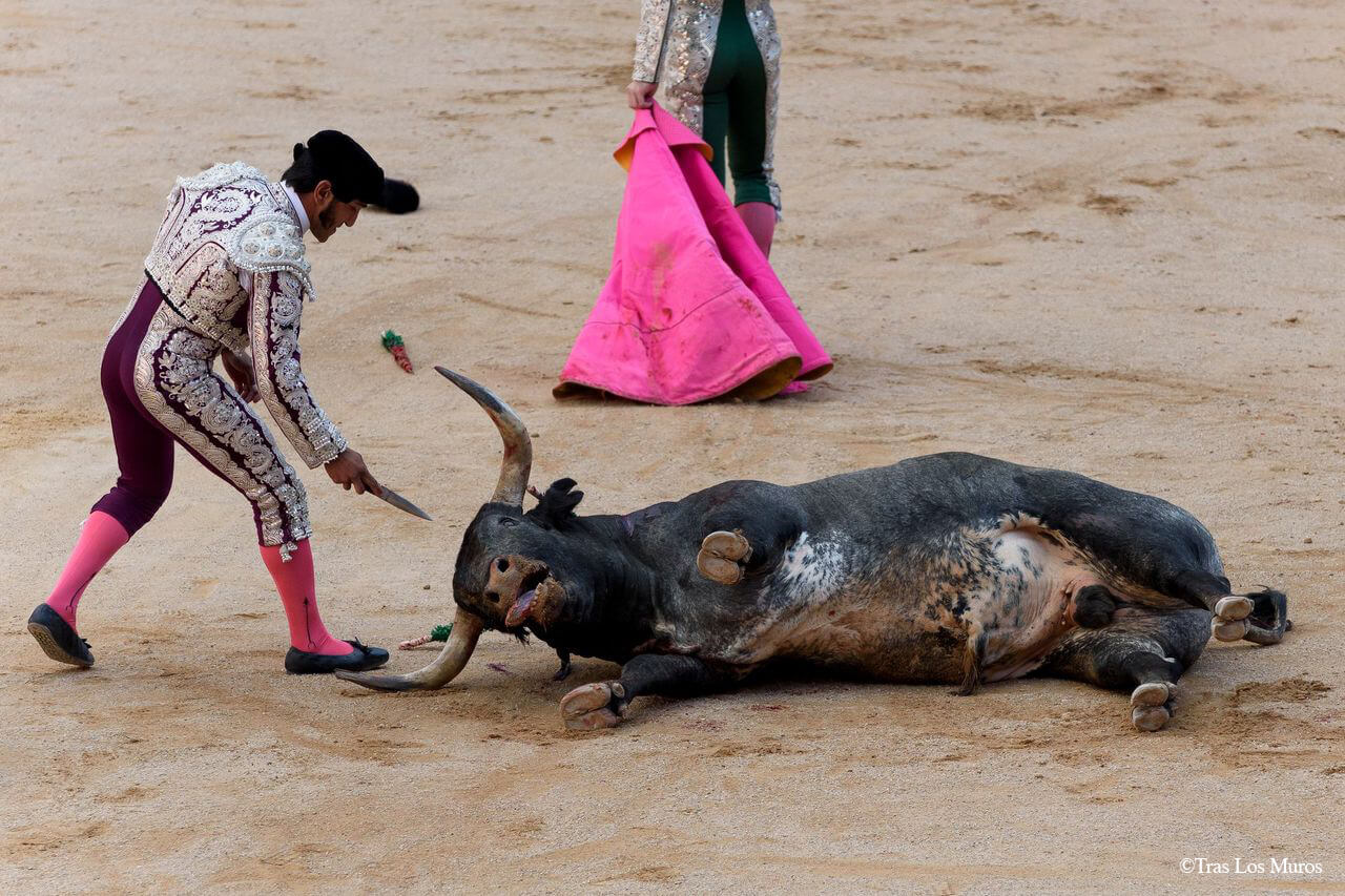 VIDÉO : Des militants sautent dans les arènes pour protester contre la corrida