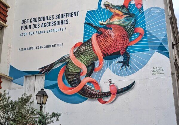 Un immense crocodile s’affiche dans Paris pour protester contre Hermès