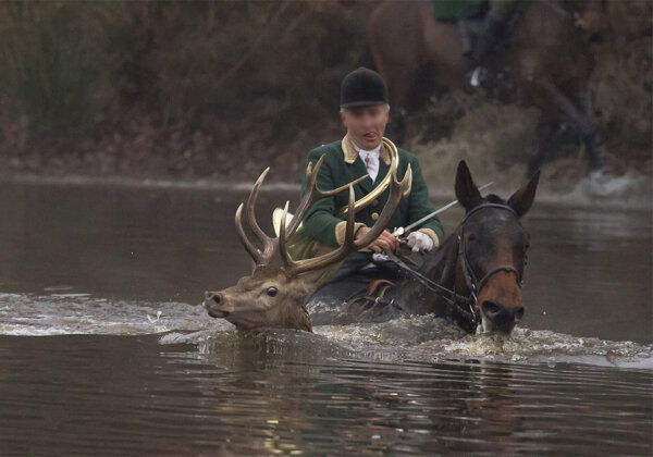 Demandez au gouvernement d’interdire la présence d’enfants pendant la corrida et la chasse