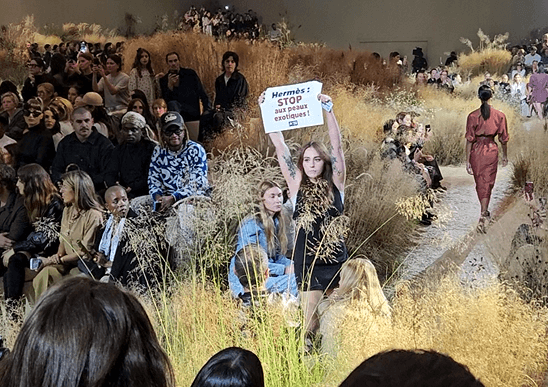 Fashion Week de Paris : le défilé Hermès perturbé par des militantes de PETA