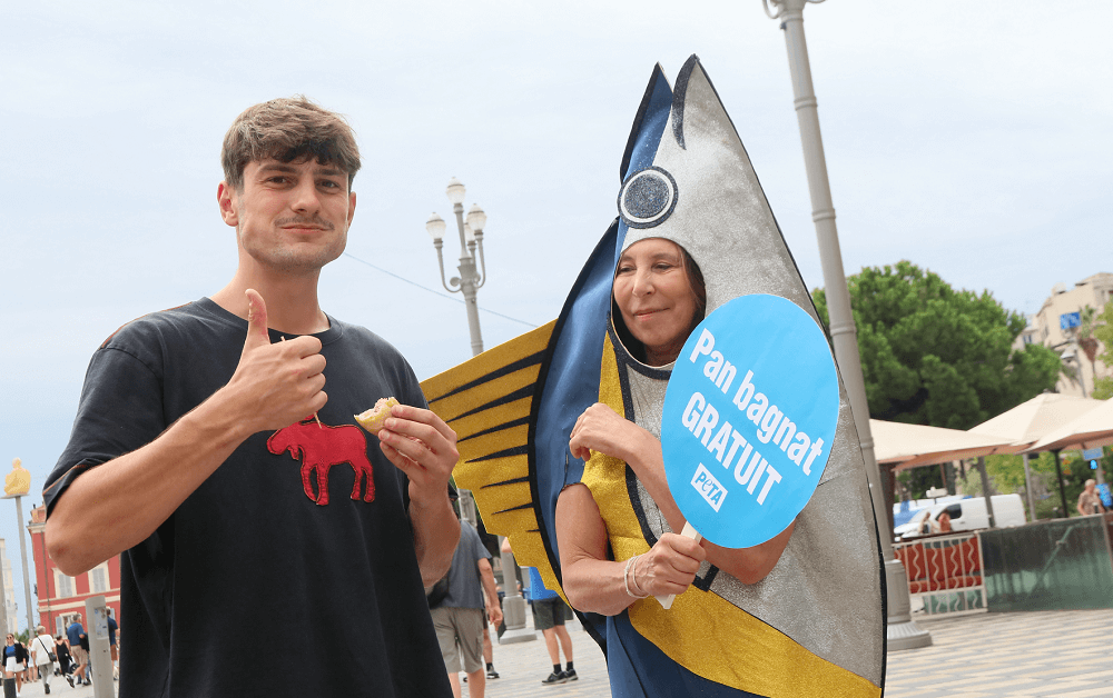 Nice : un « thon » géant distribue des pans bagnats pour défendre les poissons