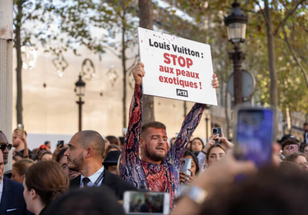 Jeremstar arrêté au défilé Louis Vuitton alors qu’il dénonçait la cruauté des peaux exotiques