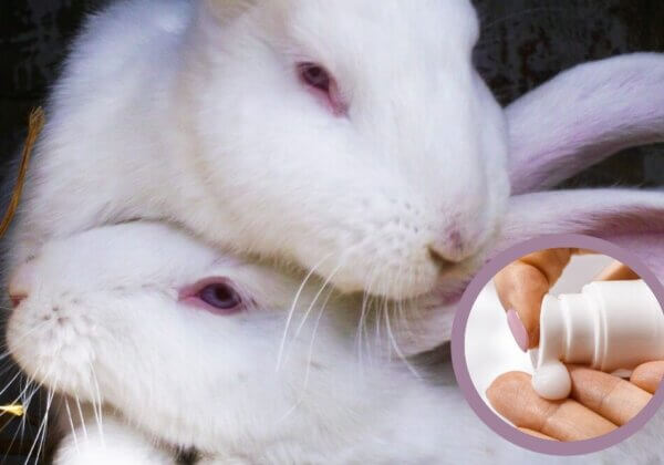 Sauvez l’interdiction : agissez contre les tests de cosmétiques sur les animaux