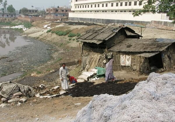 Le cuir : un désastre environnemental