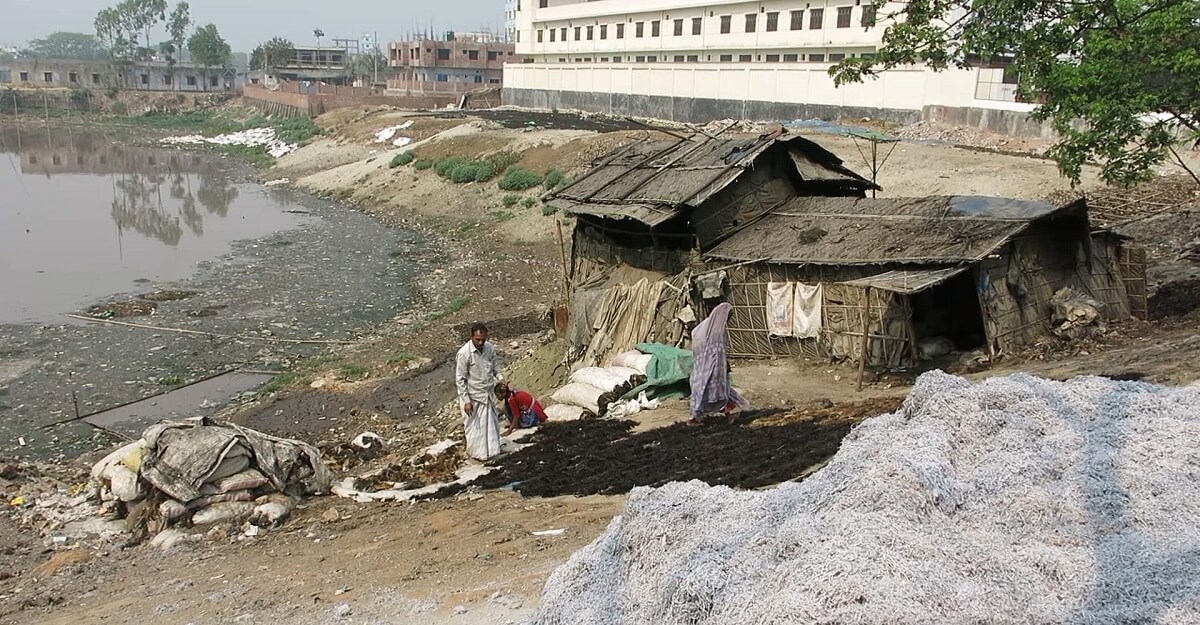 Le cuir : un désastre environnemental