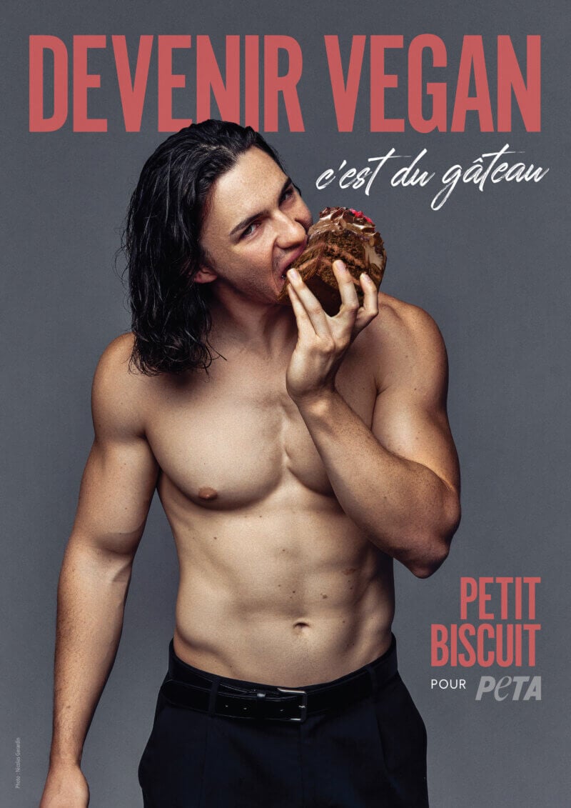 « Devenir végan, c’est du gâteau » avec Petit Biscuit Actualités