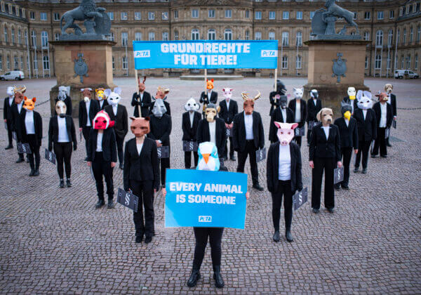 30 ans de PETA Allemagne : des droits fondamentaux pour les animaux !