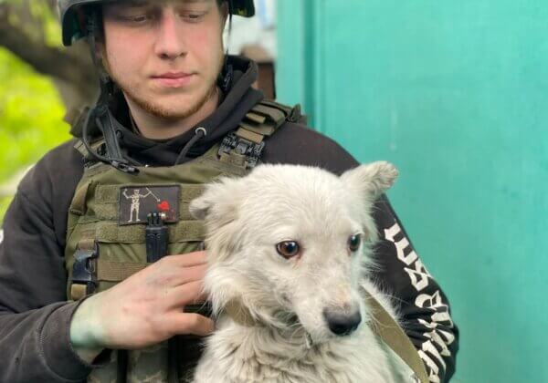 EXCLUSIF : des opérations de sauvetage d’animaux en cours dans la zone de guerre de Kharkiv, en Ukraine