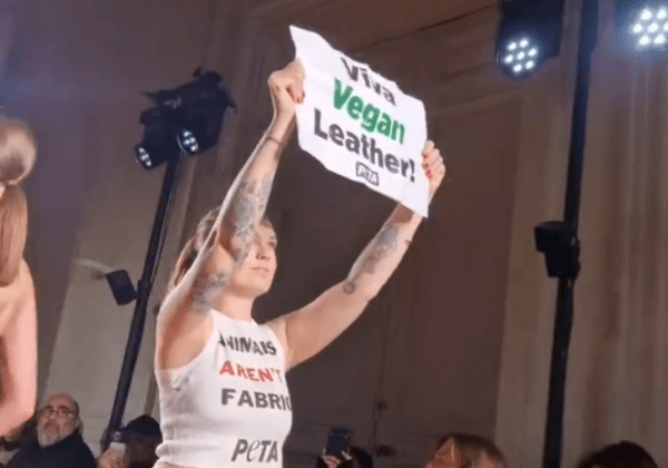 « Vive le cuir végan » : PETA perturbe le défilé de Victoria Beckham