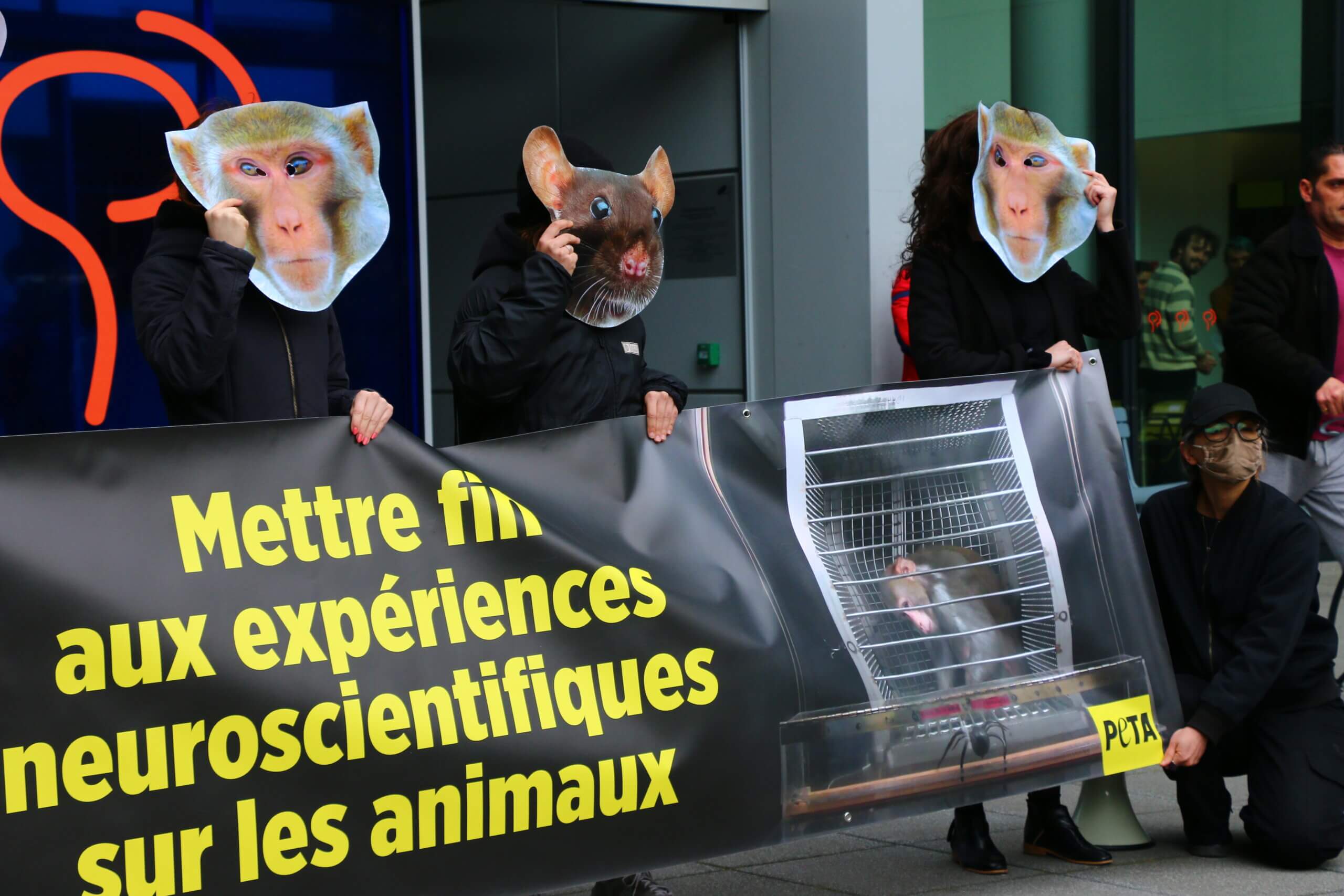 Journée mondiale pour les animaux dans les laboratoires : des « primates » protestent contre les expériences atroces que subissent des singes