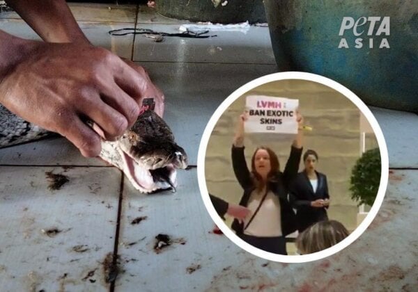 Des militants PETA arrêtés pour avoir perturbé l’AG de LVMH au sujet des peaux exotiques
