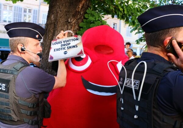 La mascotte des Jeux Olympiques voit rouge : « Les JO sponsorisés par la cruauté animale »