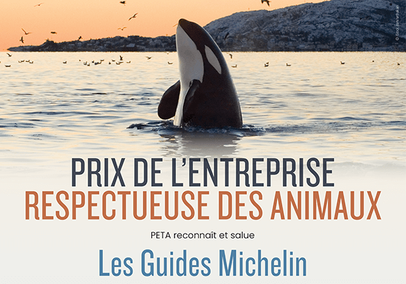 Michelin s&rsquo;engage à ne plus faire la promotion des delphinariums dans ses guides