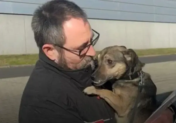Trois ans de guerre en Ukraine : les équipes soutenues par PETA continuent à sauver des animaux