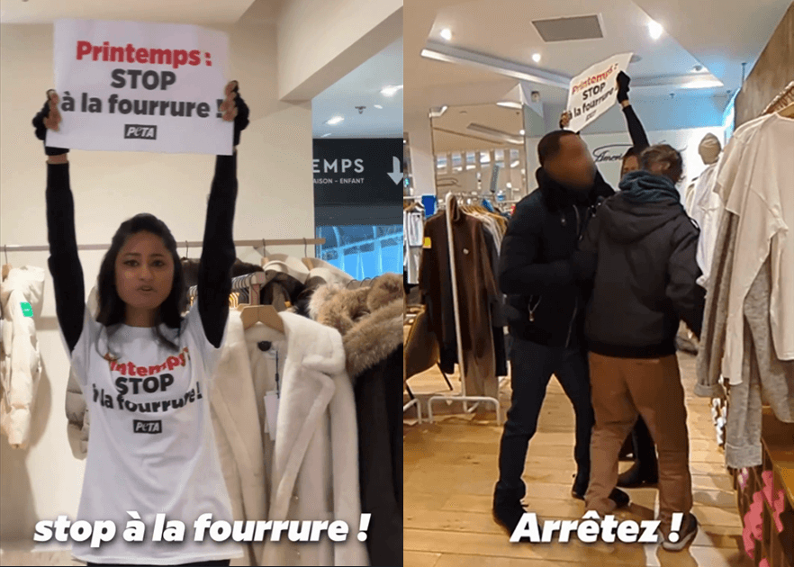 « Printemps, stop à la fourrure ! » : une militante de PETA interpelle le grand magasin à Paris