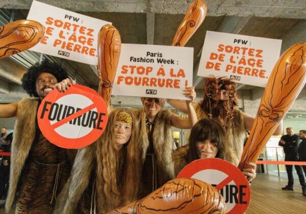 « STOP à la fourrure, sortez de l’âge de pierre » : des activistes de PETA ont manifesté devant la Cité de la mode et du design à Paris