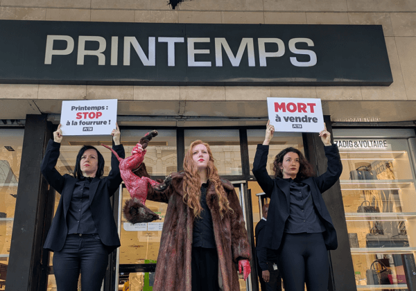 « STOP à la fourrure » : des militantes de PETA mènent une action ensanglantée devant le Printemps de Lyon