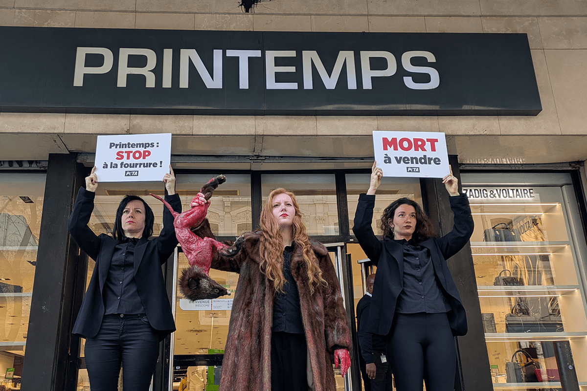 « STOP à la fourrure » : des militantes de PETA mènent une action ensanglantée devant le Printemps de Lyon