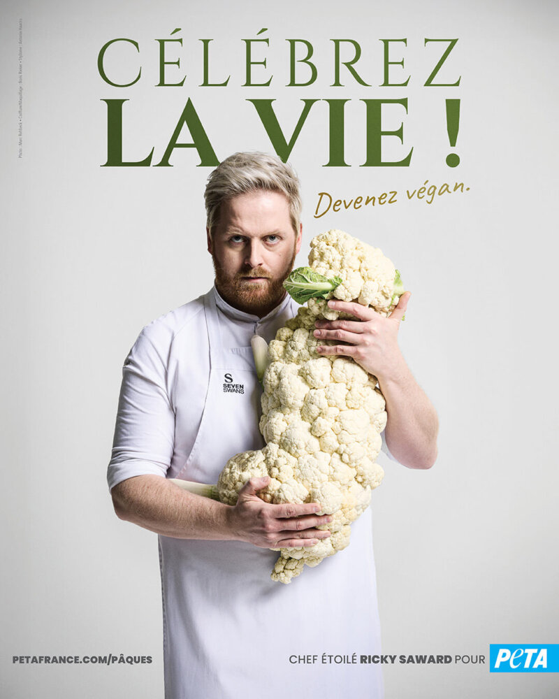 Ricky Saward : le seul chef étoilé végan d’Allemagne réaffirme son engagement pour Pâques.