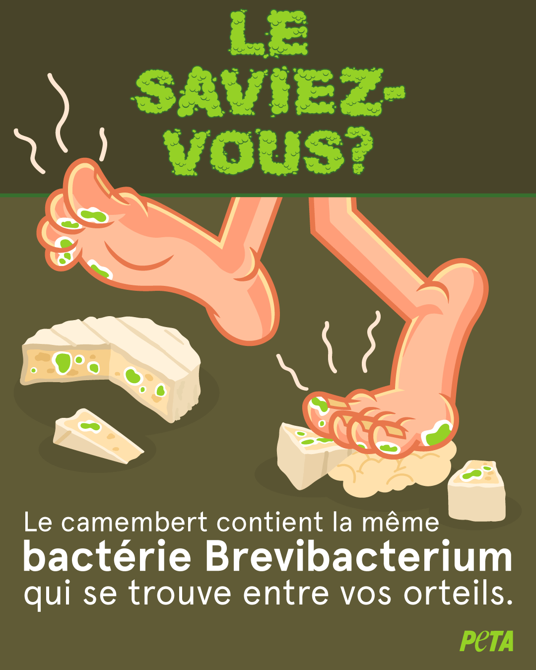 Crémeux mais loin d’être vertueux – les origines du camembert vont vous dégouter
