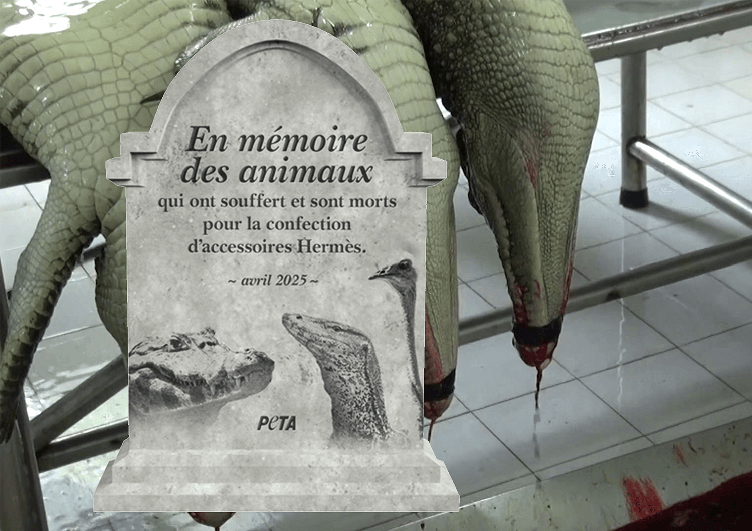AG d’Hermès : PETA demande un mémorial en hommage aux animaux torturés et tués pour des accessoires