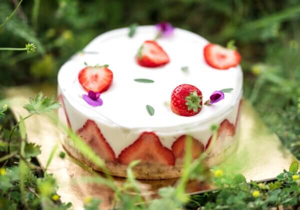 Jean-Thomas Schneider dévoile sa recette de fraisier gourmand et végan en collaboration avec PETA