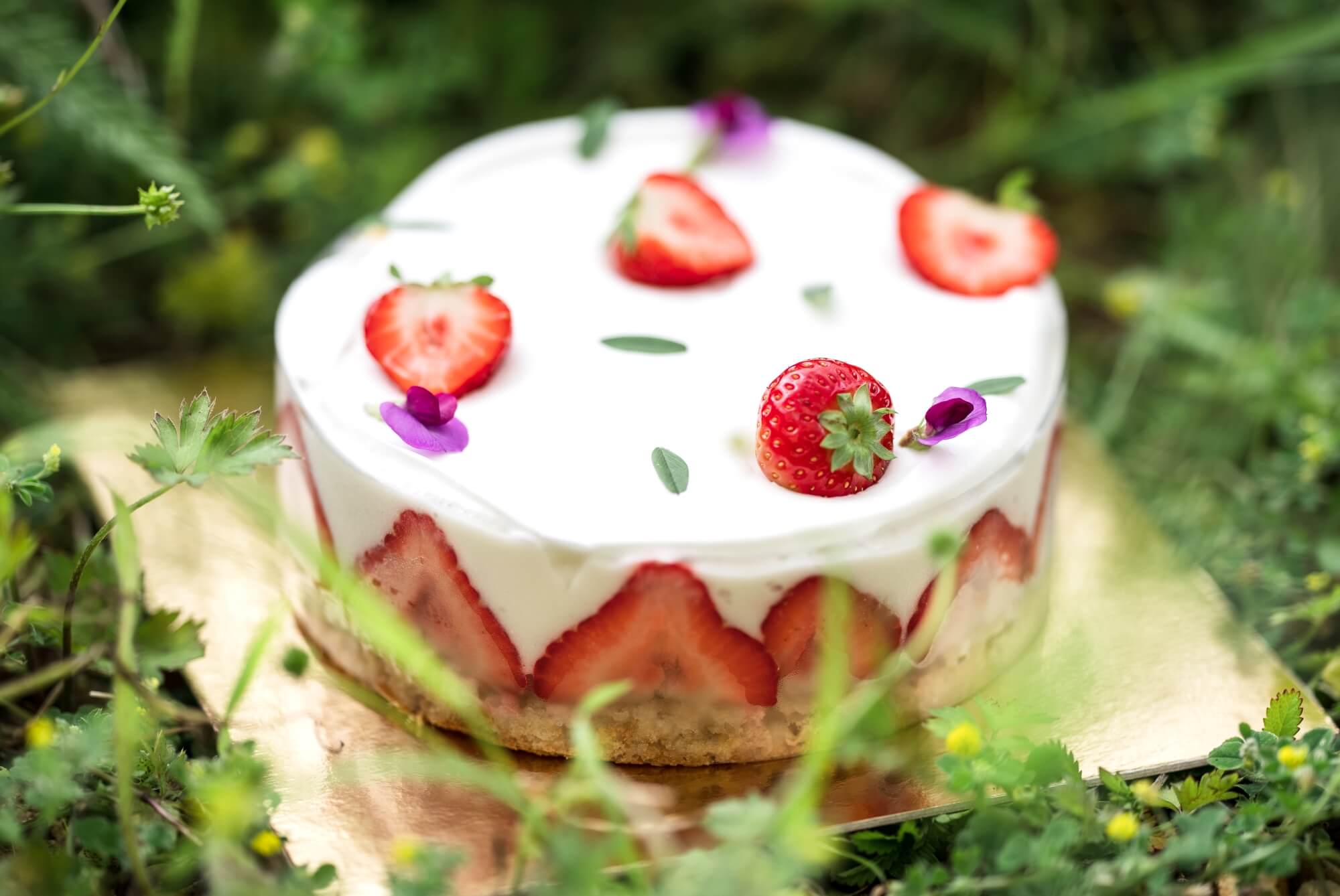 Jean-Thomas Schneider dévoile sa recette de fraisier gourmand et végan en collaboration avec PETA