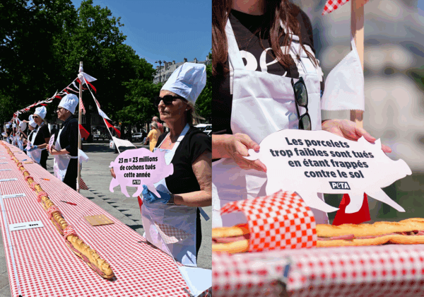 PETA fixe un record avec le plus long jambon-beurre 100 % végan – contre la cruauté animale !