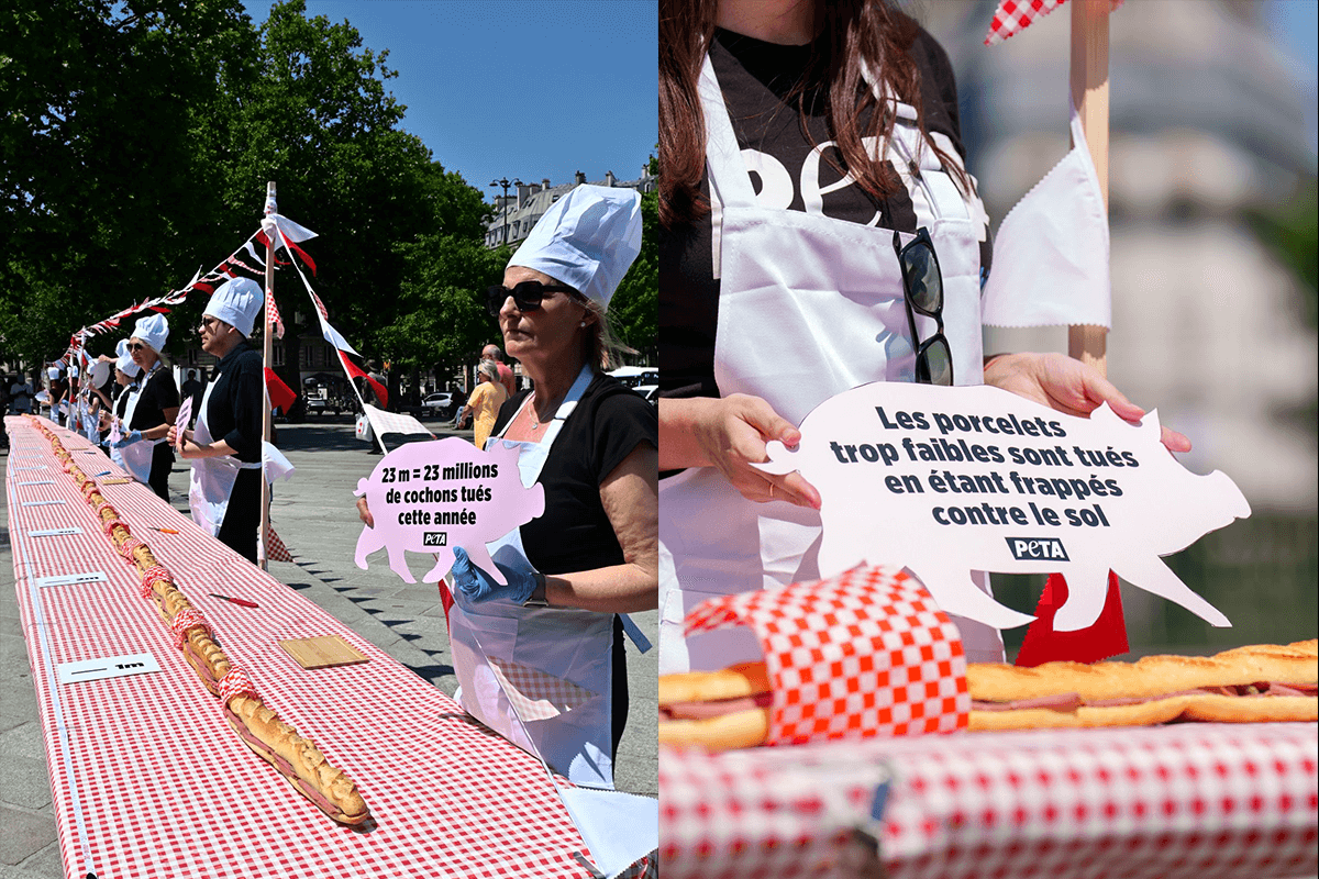 PETA fixe un record avec le plus long jambon-beurre 100 % végan – contre la cruauté animale !