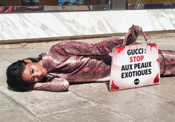 Un « serpent » géant à Cannes et Saint-Tropez : l’action choc de PETA devant Gucci pour dénoncer l’utilisation de peaux « exotiques »
