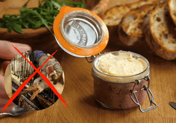 PETA propose à l’astronaute française Sophie Adenot d’emporter une alternative sans cruauté du foie gras, à bord de son voyage spatial