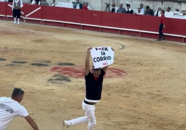 Exclusif : Jeremstar traîné hors des arènes et arrêté par la police pour avoir perturbé la corrida d’ouverture de la Feria de Nîmes