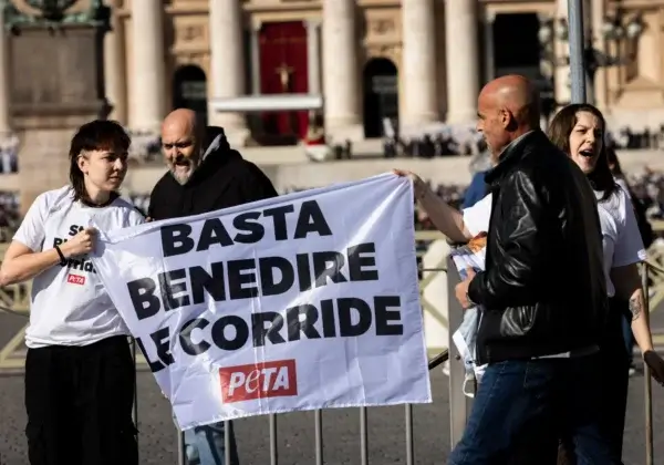 Des activistes de PETA arrêtés devant le Vatican pour avoir protesté contre les corridas soutenues par l’Église