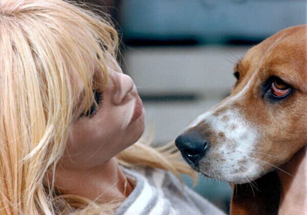 Brigitte Bardot : défendre les droits des animaux, ce qu’elle avait « toujours voulu faire »
